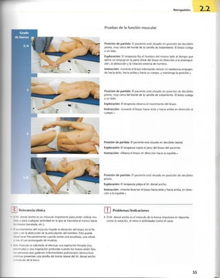 “EL LIBRO DE LOS MUSCULOS-VALERIUS” .pdf