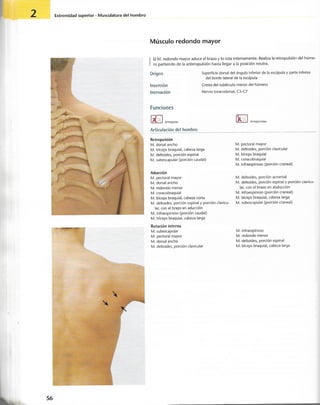 “EL LIBRO DE LOS MUSCULOS-VALERIUS” .pdf