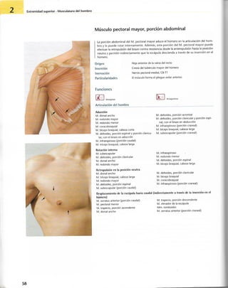 “EL LIBRO DE LOS MUSCULOS-VALERIUS” .pdf