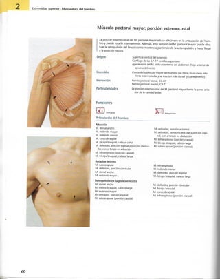 “EL LIBRO DE LOS MUSCULOS-VALERIUS” .pdf