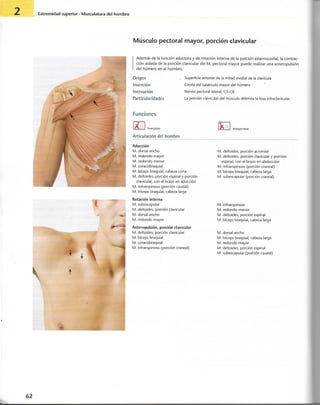 “EL LIBRO DE LOS MUSCULOS-VALERIUS” .pdf