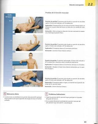 “EL LIBRO DE LOS MUSCULOS-VALERIUS” .pdf