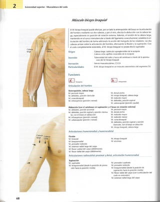 “EL LIBRO DE LOS MUSCULOS-VALERIUS” .pdf