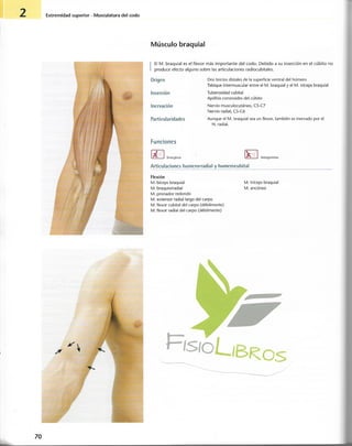 “EL LIBRO DE LOS MUSCULOS-VALERIUS” .pdf