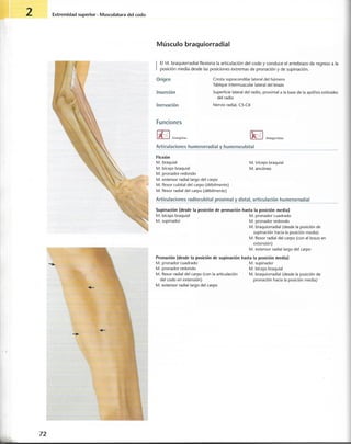 “EL LIBRO DE LOS MUSCULOS-VALERIUS” .pdf