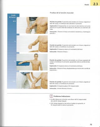 “EL LIBRO DE LOS MUSCULOS-VALERIUS” .pdf