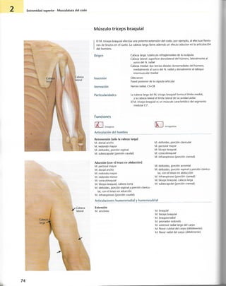 “EL LIBRO DE LOS MUSCULOS-VALERIUS” .pdf