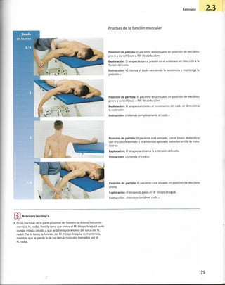 “EL LIBRO DE LOS MUSCULOS-VALERIUS” .pdf