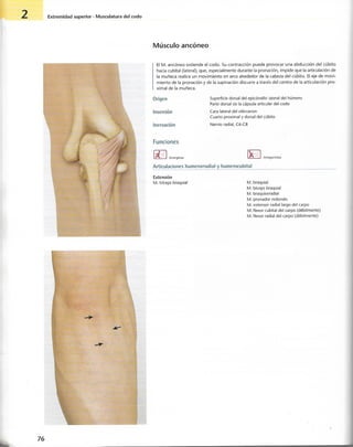 “EL LIBRO DE LOS MUSCULOS-VALERIUS” .pdf