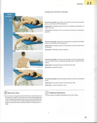 “EL LIBRO DE LOS MUSCULOS-VALERIUS” .pdf