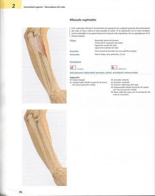 “EL LIBRO DE LOS MUSCULOS-VALERIUS” .pdf
