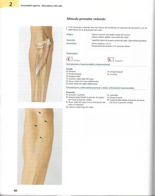 “EL LIBRO DE LOS MUSCULOS-VALERIUS” .pdf