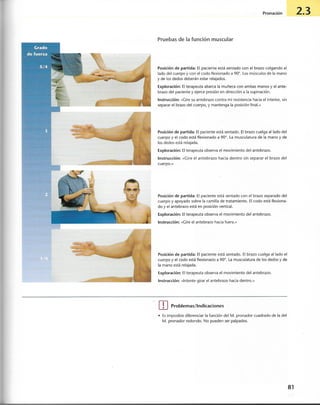 “EL LIBRO DE LOS MUSCULOS-VALERIUS” .pdf