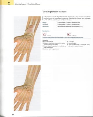 “EL LIBRO DE LOS MUSCULOS-VALERIUS” .pdf