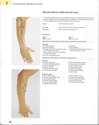 “EL LIBRO DE LOS MUSCULOS-VALERIUS” .pdf