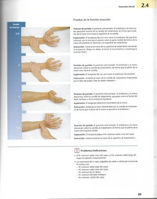 “EL LIBRO DE LOS MUSCULOS-VALERIUS” .pdf