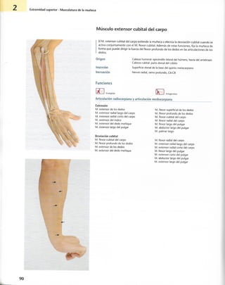 “EL LIBRO DE LOS MUSCULOS-VALERIUS” .pdf