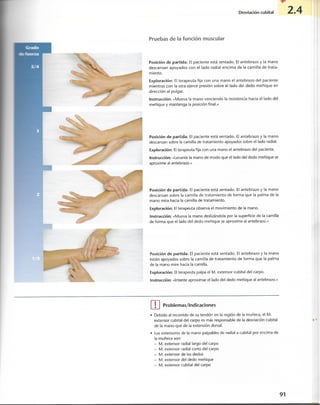 “EL LIBRO DE LOS MUSCULOS-VALERIUS” .pdf