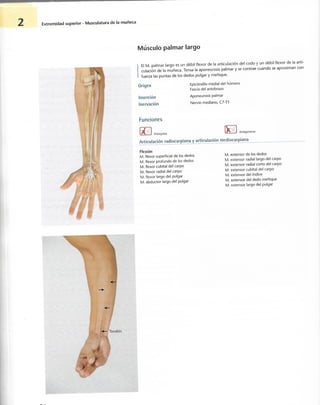 “EL LIBRO DE LOS MUSCULOS-VALERIUS” .pdf