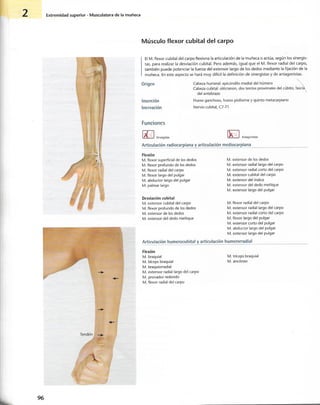 “EL LIBRO DE LOS MUSCULOS-VALERIUS” .pdf