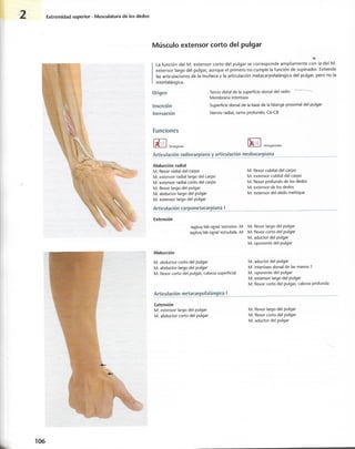 “EL LIBRO DE LOS MUSCULOS-VALERIUS” .pdf