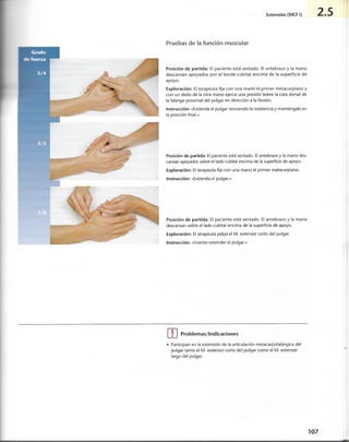 “EL LIBRO DE LOS MUSCULOS-VALERIUS” .pdf