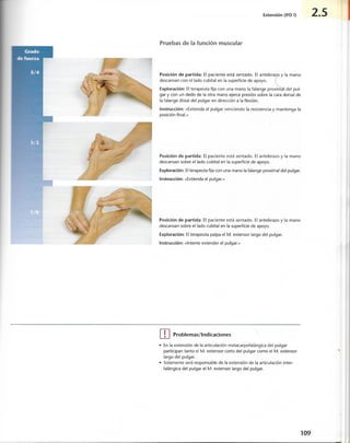 “EL LIBRO DE LOS MUSCULOS-VALERIUS” .pdf