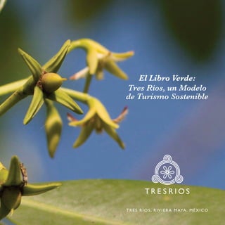 El Libro Verde:
Tres Ríos, un Modelo
de Turismo Sostenible




T R E S R Í O S , R I V I E R A M AYA , M É X I C O
 