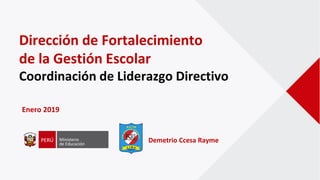 Enero 2019
Dirección de Fortalecimiento
de la Gestión Escolar
Coordinación de Liderazgo Directivo
Demetrio Ccesa Rayme
 