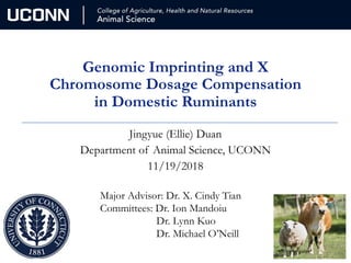 Genomic Imprinting and X
Chromosome Dosage Compensation
in Domestic Ruminants
Jingyue (Ellie) Duan
Department of Animal Science, UCONN
11/19/2018
Major Advisor: Dr. X. Cindy Tian
Committees: Dr. Ion Mandoiu
Dr. Lynn Kuo
Dr. Michael O’Neill
 