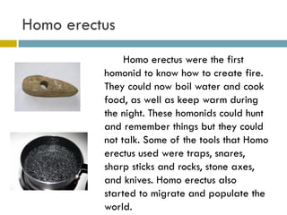 Homo erectus Homo erectus were the first homonid to know how to create fire. They could now boil water and cook food, as well as keep warm during the night. These homonids could hunt and remember things but they could not talk. Some of the tools that Homo erectus used were traps, snares, sharp sticks and rocks, stone axes, and knives. Homo erectus also started to migrate and populate the world. 