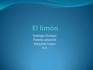 Santiago Ocampo
Pamela cañaveral
 Sebastián López
       8-A
 