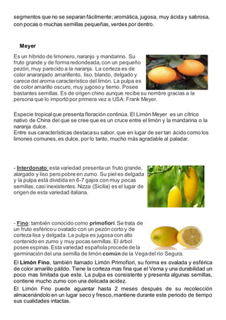 segmentos que no se separan fácilmente;aromática, jugosa, muy ácida y sabrosa,
con pocas o muchas semillas pequeñas,verdes por dentro.
Meyer
Es un híbrido de limonero, naranjo y mandarino. Su
fruto grande y de forma redondeada,con un pequeño
pezón, muy parecido a la naranja. La corteza es de
color anaranjado amarillento, liso, blando, delgado y
carece del aroma característico del limón. La pulpa es
de color amarillo oscuro, muy jugoso y tierno. Posee
bastantes semillas. Es de origen chino aunque recibe su nombre gracias a la
persona que lo importó por primera vez a USA: Frank Meyer.
Especie tropicalque presenta floración continúa. El Limón Meyer es un cítrico
nativo de China del que se cree que es un cruce entre el limón y la mandarina o la
naranja dulce.
Entre sus características destacasu sabor, que en lugar de ser tan ácido como los
limones comunes,es dulce, por lo tanto, mucho más agradable al paladar.
- Interdonato:esta variedad presenta un fruto grande,
alargado y liso pero pobre en zumo. Su piel es delgada
y la pulpa está dividida en 6-7 gajos con muy pocas
semillas, casi inexistentes. Nizza (Sicilia) es el lugar de
origen de esta variedad italiana.
- Fino: también conocido como primofiori.Se trata de
un fruto esféricou ovalado con un pezón corto y de
corteza lisa y delgada. La pulpa es jugosa con alto
contenido en zumo y muy pocas semillas. El árbol
posee espinas.Esta variedad españolaprocede de la
germinación del una semilla de limón común de la Vegadel río Segura.
El Limón Fino, también llamado Limón Primofiori, su forma es ovalada y esférica
de color amarillo pálido. Tiene la corteza mas fina que el Verna y una durabilidad un
poco mas limitada que este. La pulpa es consistente y presenta algunas semillas,
contiene mucho zumo con una delicada acidez.
El Limón Fino puede aguantar hasta 2 meses después de su recolección
almacenándolo en un lugar seco y fresco,mantiene durante este periodo de tiempo
sus cualidades intactas.
 