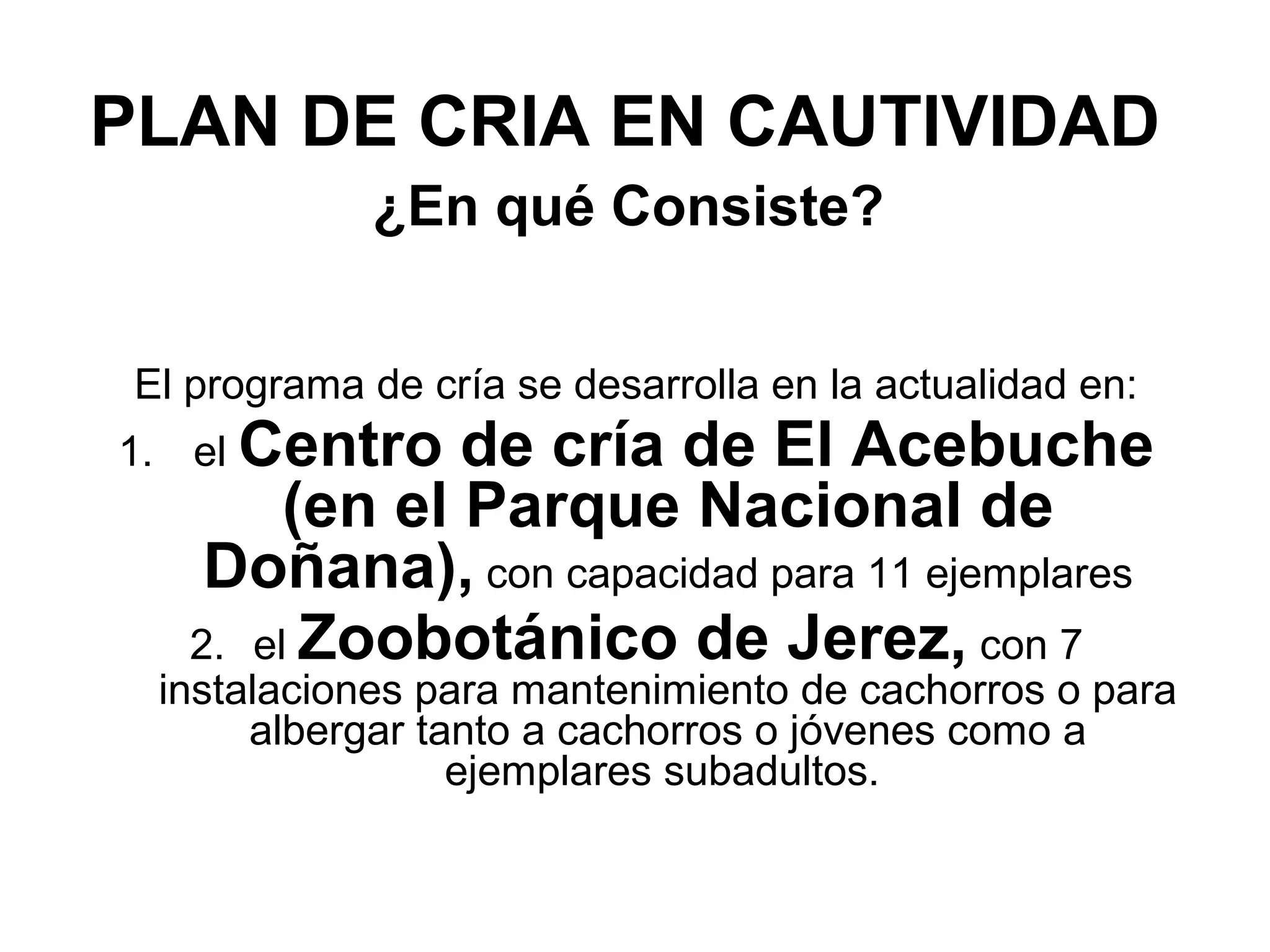 PLAN DE CRIA EN CAUTIVIDAD
¿En qué Consiste?
El programa de cría se desarrolla en la actualidad en:
1. el Centro de cría de El Acebuche
(en el Parque Nacional de
Doñana), con capacidad para 11 ejemplares
2. el Zoobotánico de Jerez, con 7
instalaciones para mantenimiento de cachorros o para
albergar tanto a cachorros o jóvenes como a
ejemplares subadultos.
 