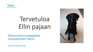 Mirjami Lehikoinen & Elli
Eläinavusteinen pedagogiikka
erityisopetuksen tukena
 
