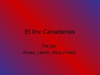 El linx Canadensis

         Fet per:
Arnau, Lamin, Alba,Violeta
 