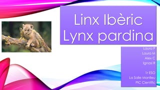 Linx Ibèric
Lynx pardina
Laura P
Laura M
Alex C
Ignasi R
1r ESO
La Salle Manlleu
PIC Científic
 
