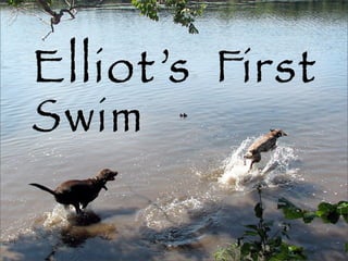 Elliot’s First Swim