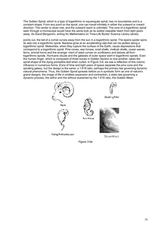 59
The Golden Spiral, which is a type of logarithmic or equiangular spiral, has no boundaries and is a
constant shape. From any point on the spiral, one can travel infinitely in either the outward or inward
direction. The center is never met, and the outward reach is unlimited. The core of a logarithmic spiral
seen through a microscope would have the same look as its widest viewable reach from light years
away. As David Bergamini, writing for Mathematics (in Time-Life Books' Science Library series)
points out, the tail of a comet curves away from the sun in a logarithmic spiral. The epeira spider spins
its web into a logarithmic spiral. Bacteria grow at an accelerating rate that can be plotted along a
logarithmic spiral. Meteorites, when they rupture the surface of the Earth, cause depressions that
correspond to a logarithmic spiral. Pine cones, sea horses, snail shells, mollusk shells, ocean waves,
ferns, animal horns and the arrange- ment of seed curves on sunflowers and daisies all form
logarithmic spirals. Hurricane clouds and the galaxies of outer space swirl in logarithmic spirals. Even
the human finger, which is composed of three bones in Golden Section to one another, takes the
spiral shape of the dying poinsettia leaf when curled. In Figure 3-9, we see a reflection of this cosmic
influence in numerous forms. Eons of time and light years of space separate the pine cone and the
spiraling galaxy, but the design is the same: a 1.618 ratio, perhaps the primary law governing dynamic
natural phenomena. Thus, the Golden Spiral spreads before us in symbolic form as one of nature's
grand designs, the image of life in endless expansion and contraction, a static law governing a
dynamic process, the within and the without sustained by the 1.618 ratio, the Golden Mean.
Figure 3-9a
 