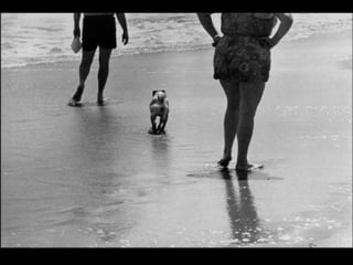 Elliott erwitt