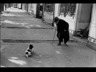 Elliott erwitt