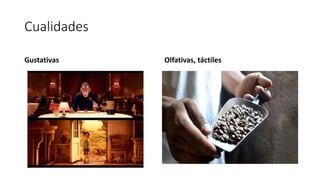 Cualidades
Gustativas Olfativas, táctiles
 