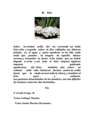 El    lirio.<br />                                                                                                                                                          Sobre     la verdad    orilla    del    rio   creciendo  un   bello  lirio ;alto  y erguido   sobre   la  flor  reflejaba  sus  blancos   pétalos    en   el  agua   y   quiso  apoderar  se  de  ella   cada  onda  que   pasaba :  la  imagen   de  aquella   blanco  corona; y  trasmitía   su  deseo   a las  ondas   que  no  había   llegado   a verla   y así   toda   el   lirio   empezó  agitarse     inquieto                                                                                    pudiendo     apoderarse     del  lirio;       también   alto   sobre;    su   robusto       tallo    olas   lanzaron    furiosa   contra la  orilla   hasta    que     la    riada arrasó toda la ribera, y también el lirio puro y solitario.Las pasiones desorbitadas de los hombres, son tan difíciles de contener como las olas desatadas.<br />Fin<br />4° Grado Grupo  B.<br />Yesica Gallegos Mendez <br />  Víctor Jamin Morales Hernandez                                                                                                                            <br />