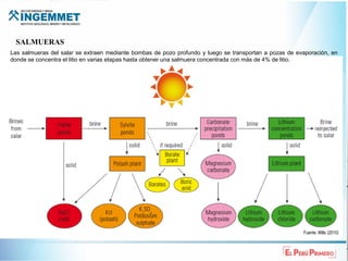El litio y su importancia actual PARA EL DESARROLLO | PDF