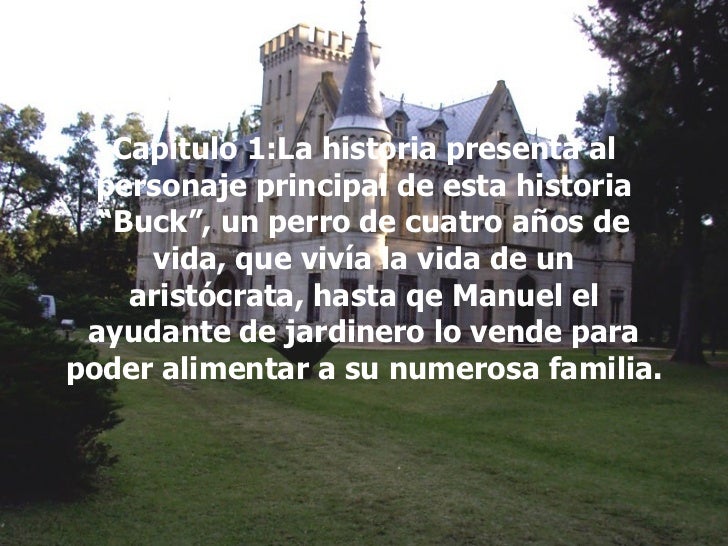 El Llamado De La Selva Capitulo 1 Libros Favorito