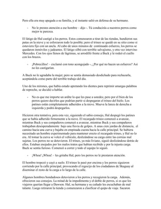 Pero ella era muy apegada a su familia, y al instante salió en defensa de su hermano.
- No le prestes atención a ese hombre – dijo -. Tú conducirás a nuestros perros como
mejor te parezca.
El látigo de Hal castigó a los perros. Estos comenzaron a tirar de las riendas, hundieron sus
patas en la nieve y se esforzaron todo lo posible; pero el trineo se quedó en su sitio como si
estuviera fijo con un ancla. Al cabo de unos minutos de continuado esfuerzo, los perros se
quedaron inmóviles y jadeantes. El látigo silbó con terrible salvajismo, y otra vez intervino
Mercedes. Con los ojos llenos de lágrimas, se arrodilló frente a Buck y le rodeó el cuello
con los brazos.
- ¡Pobrecillos! – exclamó con tono acongojado -, ¿Por qué no hacen un esfuerzo? Así
no les castigarían.
A Buck no le agradaba la mujer; pero se sentía demasiado desdichado para rechazarla,
aceptándola como parte del terrible trabajo del día.
Uno de los mirones, que había estado apretando los dientes para reprimir amargas palabras
de reproche, se decidió a hablar.
- No es que me importe un ardite lo que les pase a ustedes; pero por el bien de los
perros quiero decirles que podrían partir si despegaran el trineo del hielo. Los
patines están completamente adheridos a la nieve. Mueva la lanza de derecha a
izquierda y podrá despegarlos.
Hicieron otra tentativa, pera esta vez, siguiendo el sabio consejo, Hal despegó los patines
que se había adherido firmemente a la nieve. El recargado trineo comenzó a avanzar,
mientras Buck y sus compañeros comenzó a avanzar, mientras Buck y sus compañeros
trabajaban desesperadamente bajo una lluvia de golpes. A unas cien yardas de distancia, el
camino hacía una curva y bajaba en empinada cuesta hacia la calle principal. Se hubiera
necesitado un hombre experimentado para mantener erecto el recargado trineo, y Hal no lo
era. Al tomar la curva se volcó el vehículo, deslizándose su carga entre las correas mal
sujetas. Los perros no se detuvieron. El trineo, ya más liviano, siguió deslizándose detrás de
ellos. Estaban enojados por los malos tratos que habían recibido y por la injusta carga.
Buck se sentía furioso. Comenzó a correr y todo el equipo lo siguió.
- ¡Whoa! ¡Whoa! – les gritaba Hal, pero los perros no le prestaron atención.
El hombre tropezó y cayó a suelo. El trineo le pasó por encima y los perros siguieron
corriendo por la calle principal, provocando el regocijo de los ciudadanos de Skaguay al
diseminar el resto de la carga a lo largo de la calle.
Algunos hombres bondadosos detuvieron a los perros y recogieron la carga. Además,
ofrecieron sus consejos. La mitad de la impedimenta y el doble de perros, si es que los
viajeros querían llegar a Dawson. Hal, su hermana y su cuñado les escuchaban de mal
talante. Luego retiraron la tienda y comenzaron a clasificar el quipo de viaje. Sacaron
 