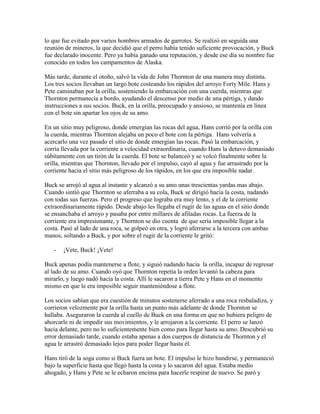 lo que fue evitado por varios hombres armados de garrotes. Se realizó en seguida una
reunión de mineros, la que decidió que el perro había tenido suficiente provocación, y Buck
fue declarado inocente. Pero ya había ganado una reputación, y desde ese día su nombre fue
conocido en todos los campamentos de Alaska.
Más tarde, durante el otoño, salvó la vida de John Thornton de una manera muy distinta.
Los tres socios llevaban un largo bote costeando los rápidos del arroyo Forty Mile. Hans y
Pete caminaban por la orilla, sosteniendo la embarcación con una cuerda, mientras que
Thornton permanecía a bordo, ayudando el descenso por medio de una pértiga, y dando
instrucciones a sus socios. Buck, en la orilla, preocupado y ansioso, se mantenía en línea
con el bote sin apartar los ojos de su amo.
En un sitio muy peligroso, donde emergían las rocas del agua, Hans corrió por la orilla con
la cuerda, mientras Thornton alejaba un poco el bote con la pértiga. Hans volvería a
acercarlo una vez pasado el sitio de donde emergían las rocas. Pasó la embarcación, y
corría llevada por la corriente a velocidad extraordinaria, cuando Hans la detuvo demasiado
súbitamente con un tirón de la cuerda. El bote se balanceó y se volcó finalmente sobre la
orilla, mientras que Thornton, llevado por el impulso, cayó al agua y fue arrastrado por la
corriente hacia el sitio más peligroso de los rápidos, en los que era imposible nadar.
Buck se arrojó al agua al instante y alcanzó a su amo unas trescientas yardas mas abajo.
Cuando sintió que Thornton se aferraba a su cola, Buck se dirigió hacia la costa, nadando
con todas sus fuerzas. Pero el progreso que lograba era muy lento, y el de la corriente
extraordinariamente rápido. Desde abajo les llegaba el rugir de las aguas en el sitio donde
se ensanchaba el arroyo y pasaba por entre millares de afiladas rocas. La fuerza de la
corriente era impresionante, y Thornton se dio cuenta de que sería imposible llegar a la
costa. Pasó al lado de una roca, se golpeó en otra, y logró aferrarse a la tercera con ambas
manos, soltando a Buck, y por sobre el rugir de la corriente le gritó:
- ¡Vete, Buck! ¡Vete!
Buck apenas podía mantenerse a flote, y siguió nadando hacia la orilla, incapaz de regresar
al lado de su amo. Cuando oyó que Thornton repetía la orden levantó la cabeza para
mirarlo, y luego nadó hacia la costa. Allí le sacaron a tierra Pete y Hans en el momento
mismo en que le era imposible seguir manteniéndose a flote.
Los socios sabían que era cuestión de minutos sostenerse aferrado a una roca resbaladiza, y
corrieron velozmente por la orilla hasta un punto más adelante de donde Thornton se
hallaba. Aseguraron la cuerda al cuello de Buck en una forma en que no hubiera peligro de
ahorcarle ni de impedir sus movimientos, y le arrojaron a la corriente. El perro se lanzó
hacia delante, pero no lo suficientemente bien como para llegar hasta su amo. Descubrió su
error demasiado tarde, cuando estaba apenas a dos cuerpos de distancia de Thornton y el
agua le arrastró demasiado lejos para poder llegar hasta él.
Hans tiró de la soga como si Buck fuera un bote. El impulso le hizo hundirse, y permaneció
bajo la superficie hasta que llegó hasta la costa y lo sacaron del agua. Estaba medio
ahogado, y Hans y Pete se le echaron encima para hacerle respirar de nuevo. Se paró y
 