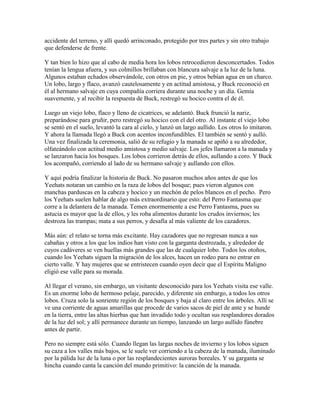 accidente del terreno, y allí quedó arrinconado, protegido por tres partes y sin otro trabajo
que defenderse de frente.
Y tan bien lo hizo que al cabo de media hora los lobos retrocedieron desconcertados. Todos
tenían la lengua afuera, y sus colmillos brillaban con blancura salvaje a la luz de la luna.
Algunos estaban echados observándole, con otros en pie, y otros bebían agua en un charco.
Un lobo, largo y flaco, avanzó cautelosamente y en actitud amistosa, y Buck reconoció en
él al hermano salvaje en cuya compañía corriera durante una noche y un día. Gemía
suavemente, y al recibir la respuesta de Buck, restregó su hocico contra el de él.
Luego un viejo lobo, flaco y lleno de cicatrices, se adelantó. Buck frunció la nariz,
preparándose para gruñir, pero restregó su hocico con el del otro. Al instante el viejo lobo
se sentó en el suelo, levantó la cara al cielo, y lanzó un largo aullido. Los otros lo imitaron.
Y ahora la llamada llegó a Buck con acentos inconfundibles. El también se sentó y aulló.
Una vez finalizada la ceremonia, salió de su refugio y la manada se apiñó a su alrededor,
olfateándolo con actitud medio amistosa y medio salvaje. Los jefes llamaron a la manada y
se lanzaron hacia los bosques. Los lobos corrieron detrás de ellos, aullando a coro. Y Buck
los acompañó, corriendo al lado de su hermano salvaje y aullando con ellos.
Y aquí podría finalizar la historia de Buck. No pasaron muchos años antes de que los
Yeehats notaran un cambio en la raza de lobos del bosque; pues vieron algunos con
manchas parduscas en la cabeza y hocico y un mechón de pelos blancos en el pecho. Pero
los Yeehats suelen hablar de algo más extraordinario que esto: del Perro Fantasma que
corre a la delantera de la manada. Temen enormemente a ese Perro Fantasma, pues su
astucia es mayor que la de ellos, y les roba alimentos durante los crudos inviernos; les
destroza las trampas; mata a sus perros, y desafía al más valiente de los cazadores.
Más aún: el relato se torna más excitante. Hay cazadores que no regresan nunca a sus
cabañas y otros a los que los indios han visto con la garganta destrozada, y alrededor de
cuyos cadáveres se ven huellas más grandes que las de cualquier lobo. Todos los otoños,
cuando los Yeehats siguen la migración de los alces, hacen un rodeo para no entrar en
cierto valle. Y hay mujeres que se entristecen cuando oyen decir que el Espíritu Maligno
eligió ese valle para su morada.
Al llegar el verano, sin embargo, un visitante desconocido para los Yeehats visita ese valle.
Es un enorme lobo de hermoso pelaje, parecido, y diferente sin embargo, a todos los otros
lobos. Cruza solo la sonriente región de los bosques y baja al claro entre los árboles. Allí se
ve una corriente de aguas amarillas que procede de varios sacos de piel de ante y se hunde
en la tierra, entre las altas hierbas que han invadido todo y ocultan sus resplandores dorados
de la luz del sol; y allí permanece durante un tiempo, lanzando un largo aullido fúnebre
antes de partir.
Pero no siempre está sólo. Cuando llegan las largas noches de invierno y los lobos siguen
su caza a los valles más bajos, se le suele ver corriendo a la cabeza de la manada, iluminado
por la pálida luz de la luna o por las resplandecientes auroras boreales. Y su garganta se
hincha cuando canta la canción del mundo primitivo: la canción de la manada.
 