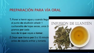 PREPARACIÓN PARA VÍA ORAL
1.Poner a hervir agua y cuando llegue
al punto de ebullición añadir 1
cucharadita de hojas secas, unos 24
gramos por cada
taza de té que vayas a tomar.
2.Dejar que hierva por 5 o 10 minutos
antes de dejarla enfriar y tomarla.
 