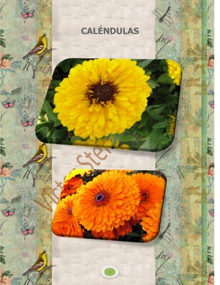 CALÉNDULAS




    9
 